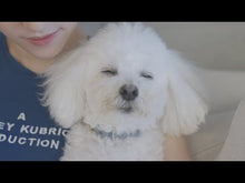 비디오를 갤러리 뷰어 K8.0/2PAK에 로드 및 재생